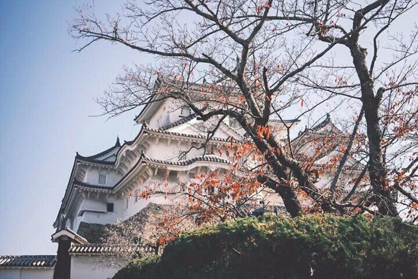 Kobe and Himeji A Journey Through Culture and History
