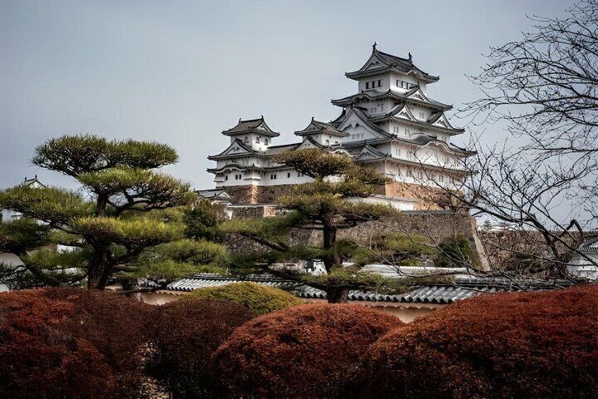Kobe and Himeji A Journey Through Culture and History