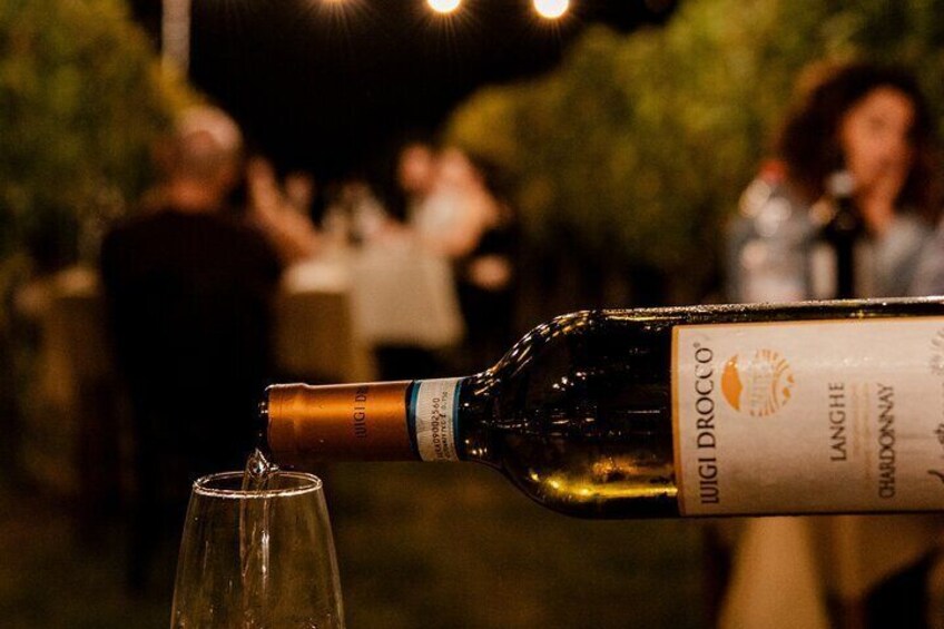 Dinner in the Vineyard in Alba
