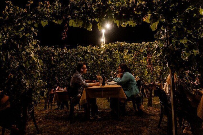 Dinner in the Vineyard in Alba