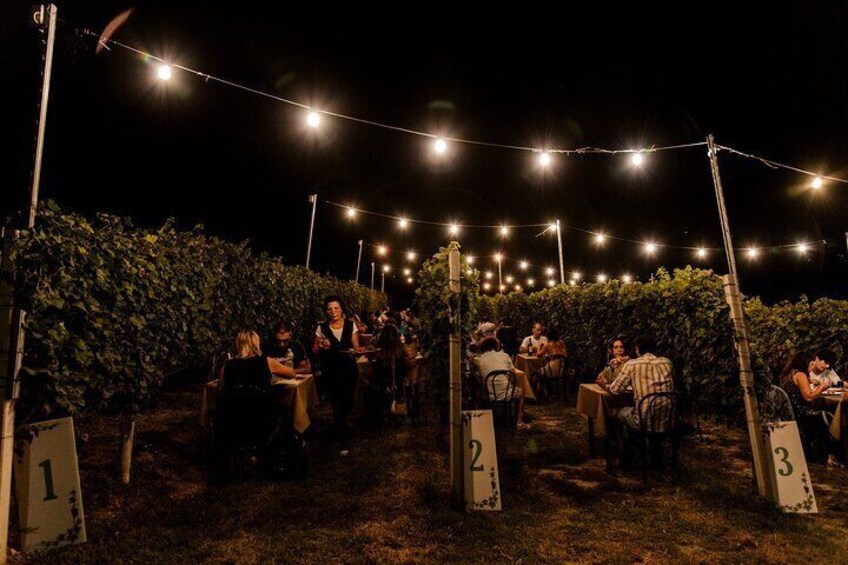 Dinner in the Vineyard in Alba