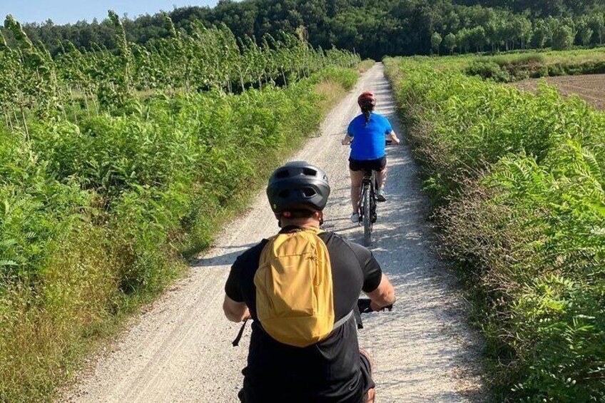 LUCCA the Puccini bike path and Massacciuccoli lake 