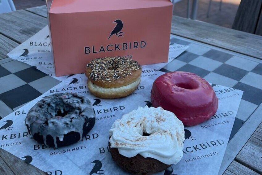 Harvard Square Donut Adventure