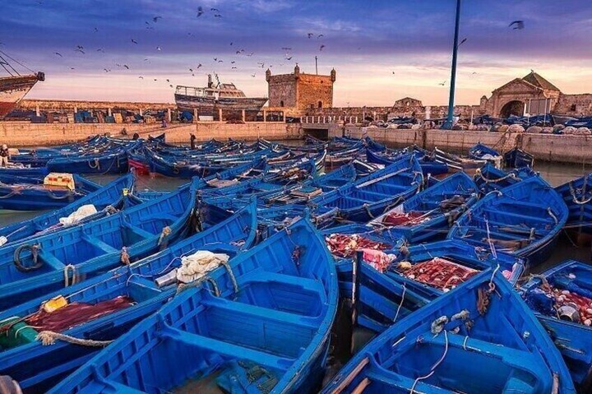 Legzira & Massa Beautiful Coastal Tour with Lunch - Agadir