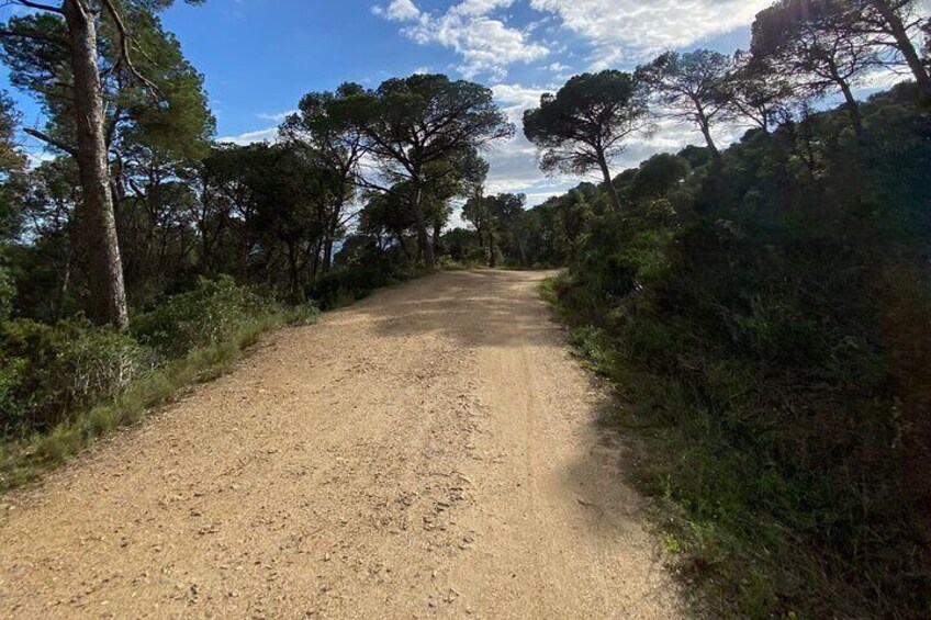 camino de ronda