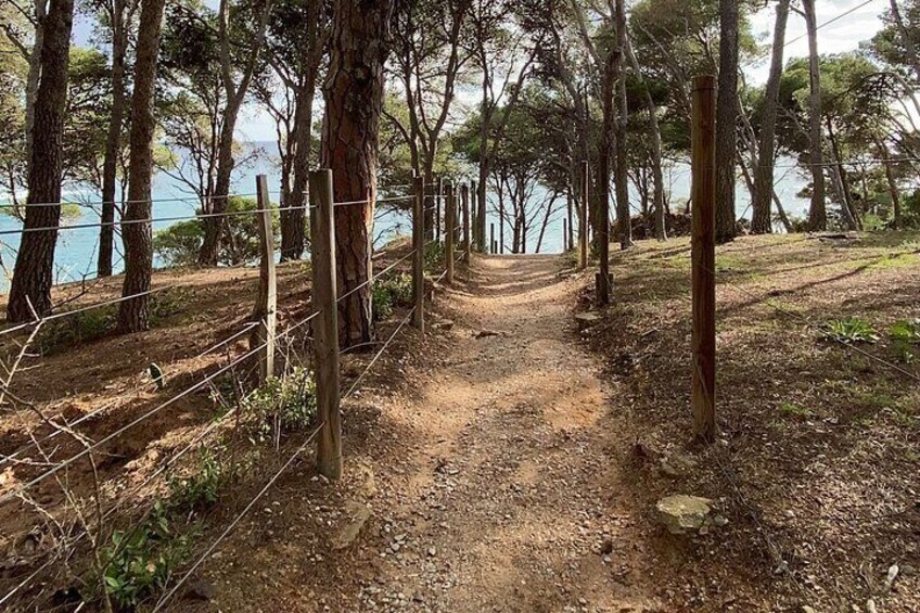 camino de ronda