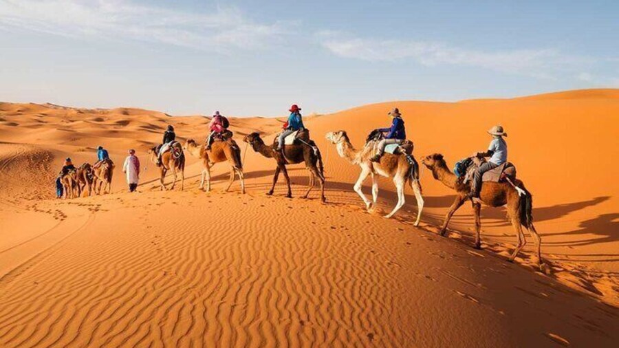 2 Days Sahara Group Tour Fez to Marrakech via Merzouga