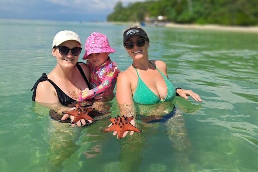 Starfish photo