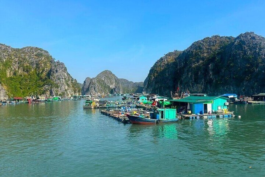 Discover Lan Ha Bay’s Beauty on a D'Charme Luxury Day Cruise