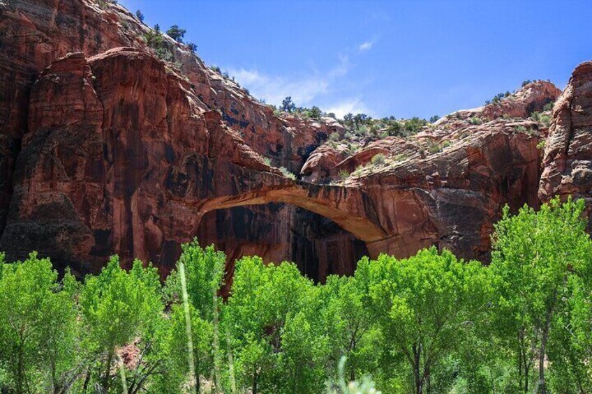 Grand Staircase Escalante and Scenic Byway 12 Audio Tour Guide