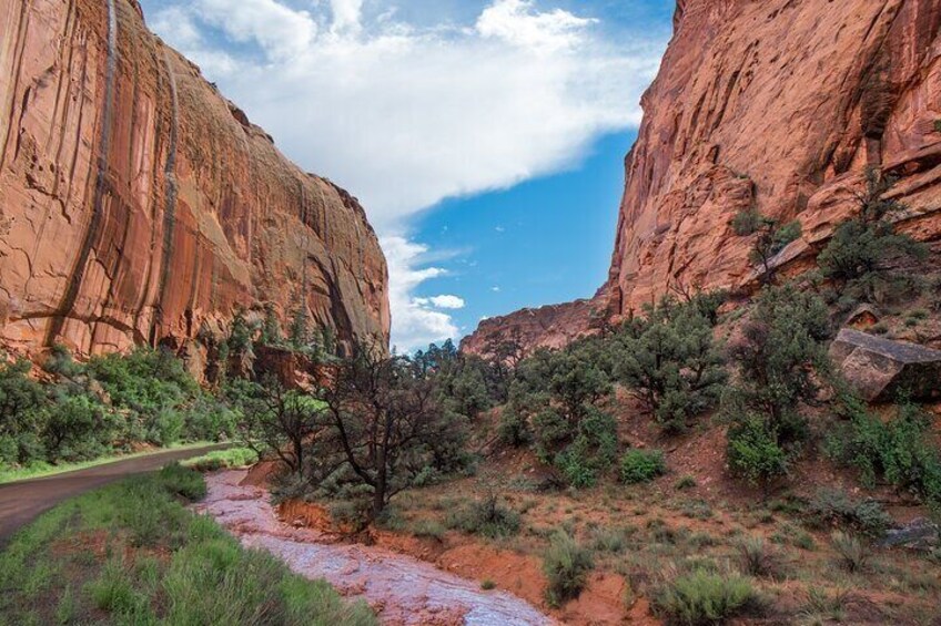 Grand Staircase Escalante and Scenic Byway 12 Audio Tour Guide