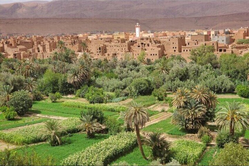 Morocco Day Trip at Sahara Desert