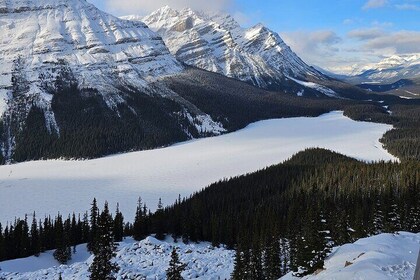 Banff, Icefield Pkwy Full Day Winter Wonderland Private Tour