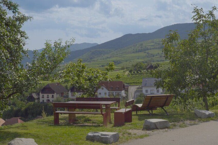 Wachau Discovery Tour