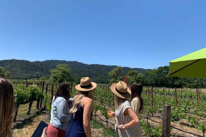 Napa Valley: Private Wine Tour in SUV with up to 6 Guests