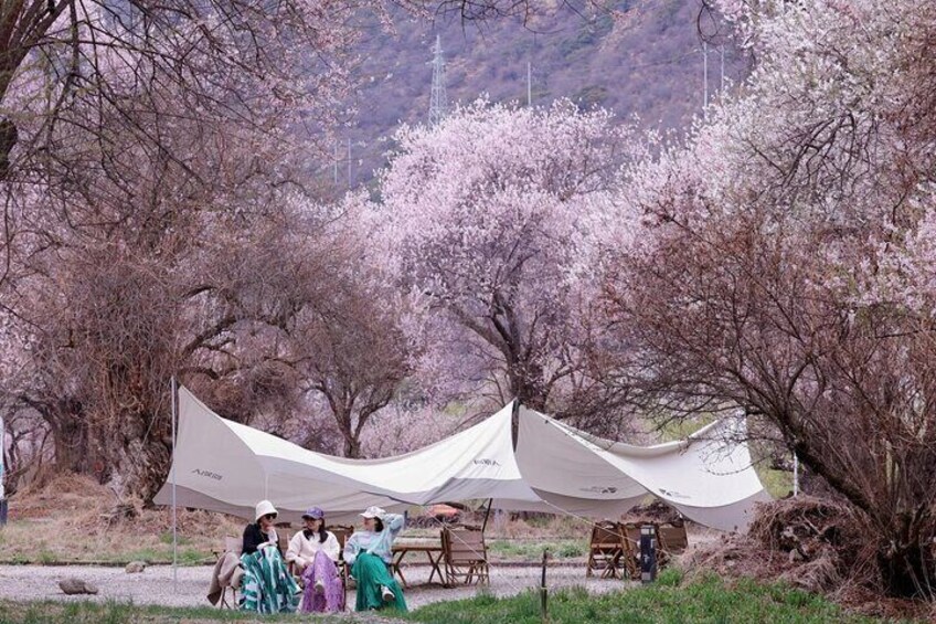 13 Day Nyingchi Peach Blossom Festival Tour