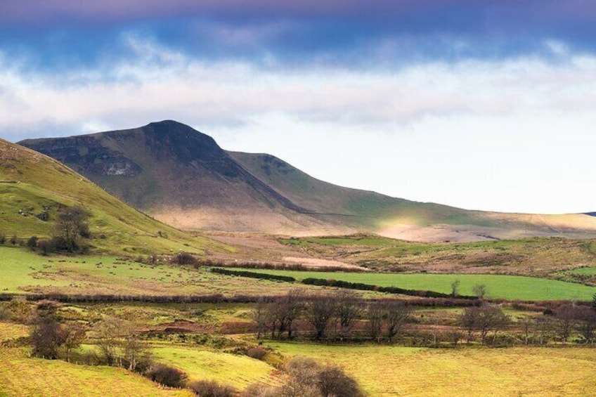 Dublin Private Tour in North Belfast and Giant’s Causeway