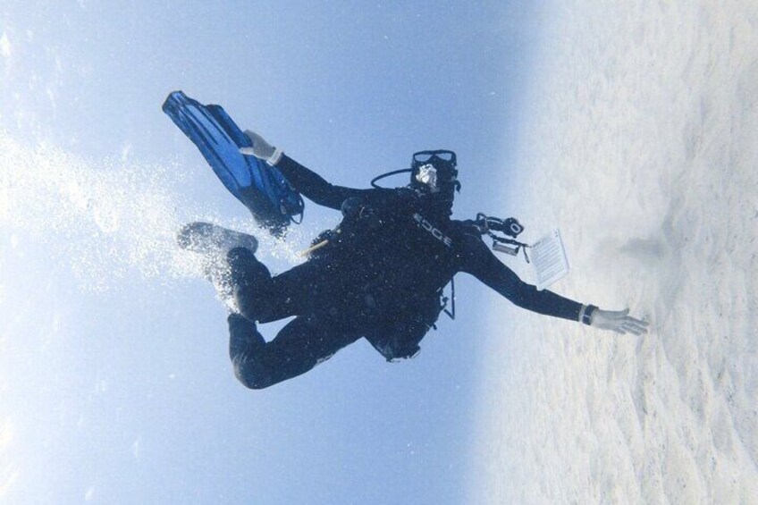 Private Guided Shore Dive