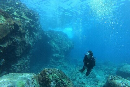 Private Guided Shore Dive