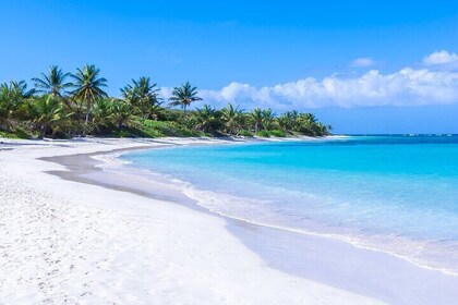 Private Day Trip Culebra Boat from San Juan