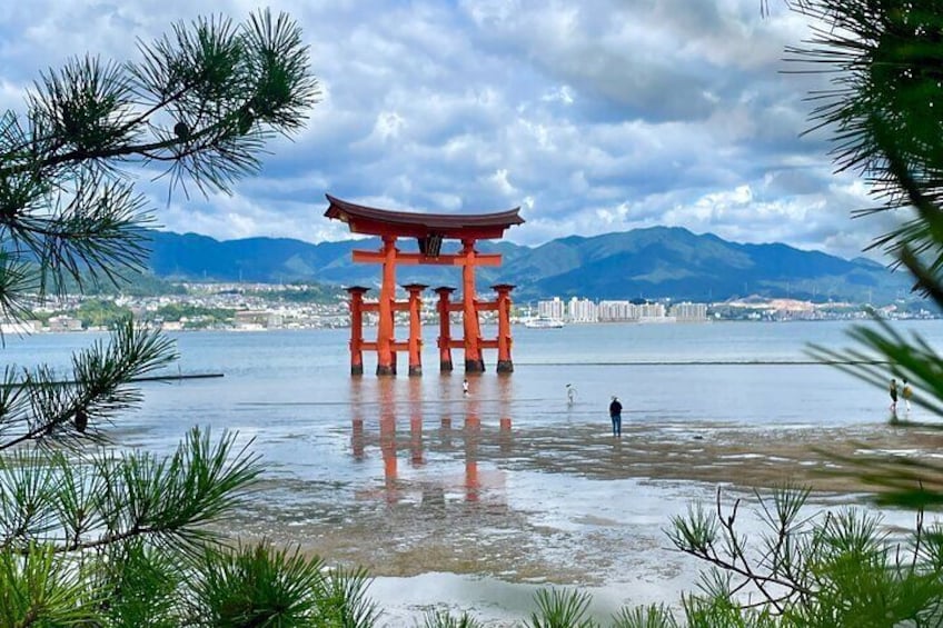 Hiroshima and Miyajima Private Tour with Hiroshima Native