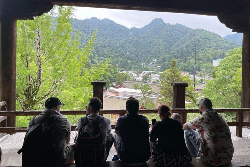 Private Hiroshima and Miyajima Tour with Local