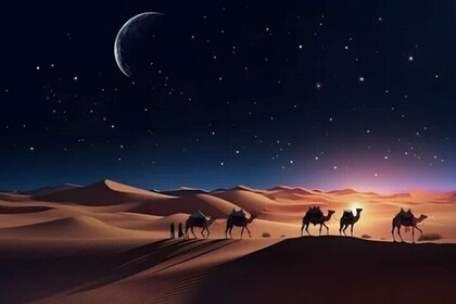 Safari nocturno en el desierto de Doha, observación de estrellas, fotografí...