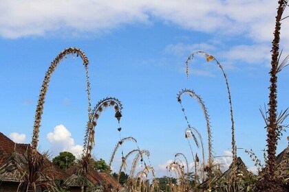 Bali: Amazing Gate of Heaven and Ubud day tour