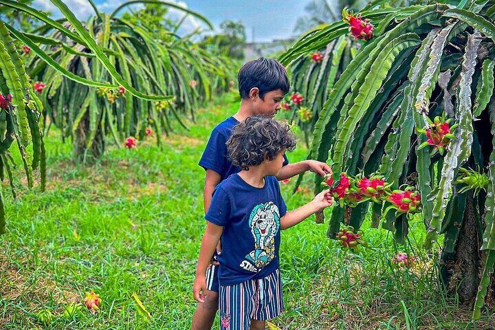 Discover Ta Cu Mountain: Scenic Cable Car & Majestic Lying Buddha