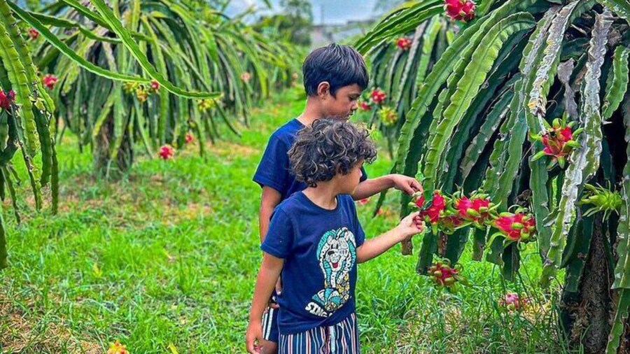 Discover Ta Cu Mountain: Scenic Cable Car & Majestic Lying Buddha