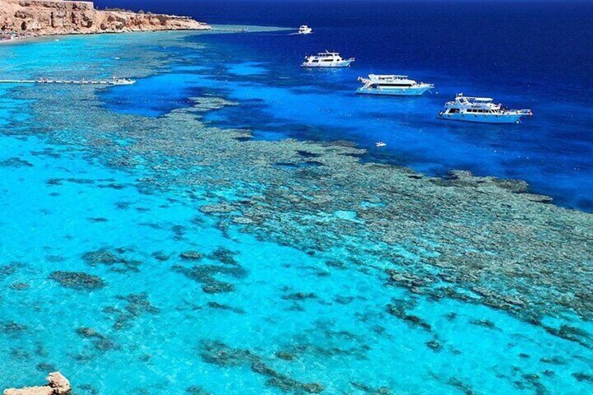 Ras Mohamed & White Island Diving & Snorkeling Trip with Lunch