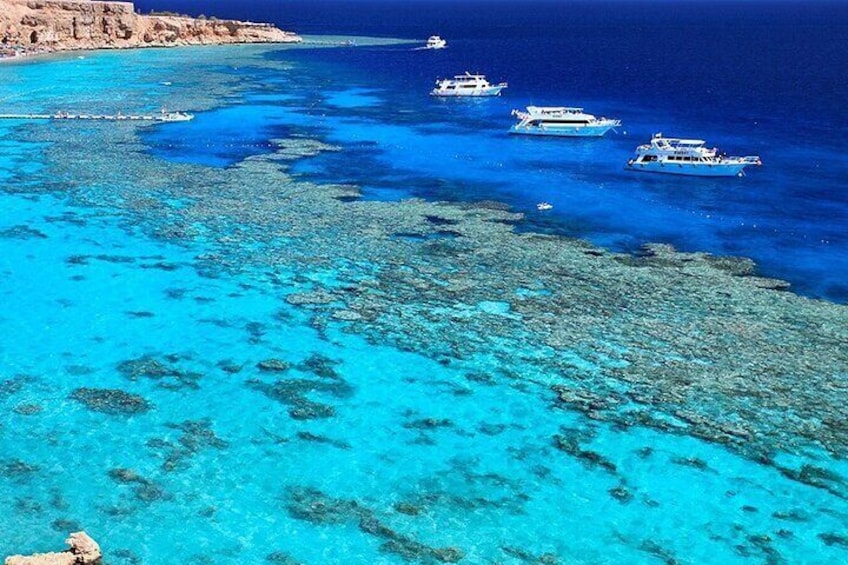 Ras Mohamed & White Island Diving & Snorkeling Trip with Lunch