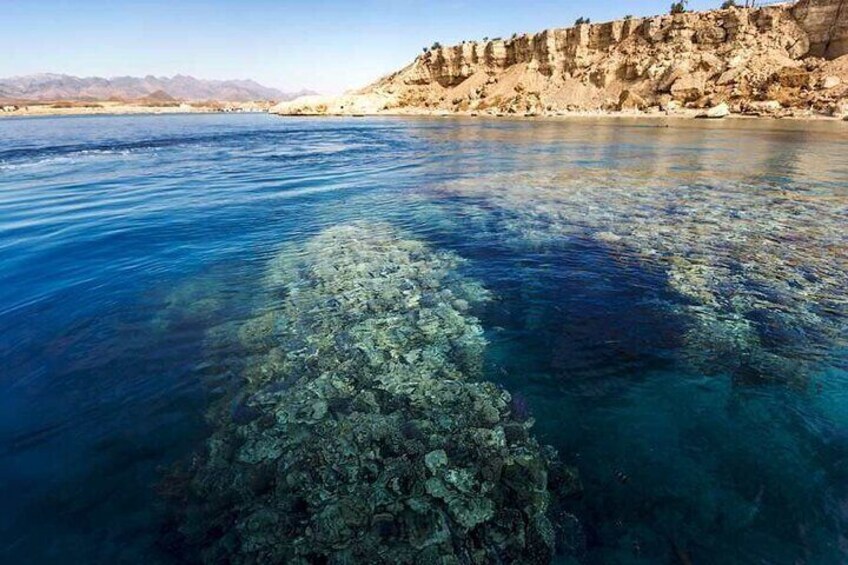 Ras Mohammed and White Island Diving &Snorkelling Trip with Lunch
