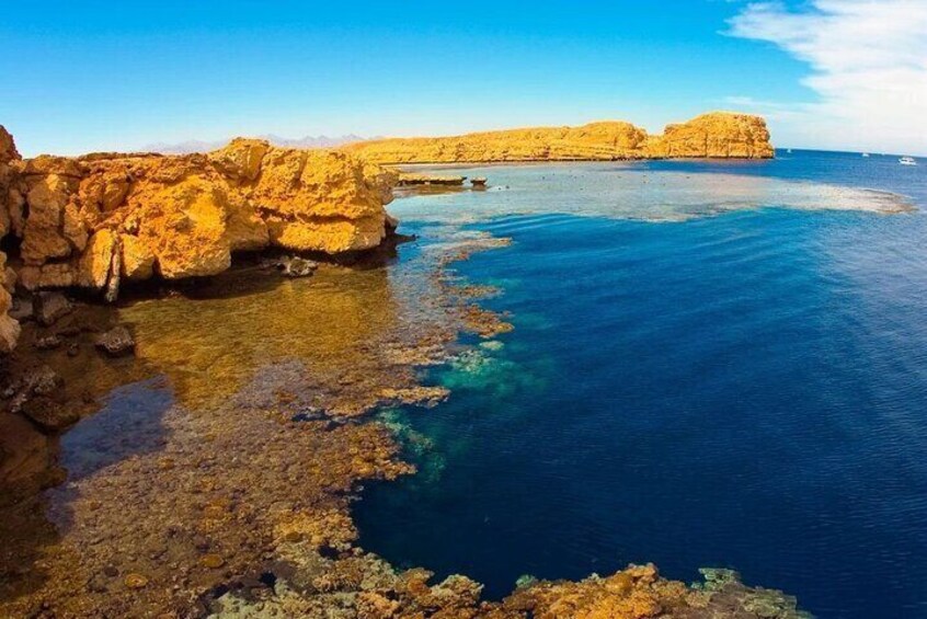 Ras Mohammed and White Island Diving &Snorkelling Trip with Lunch