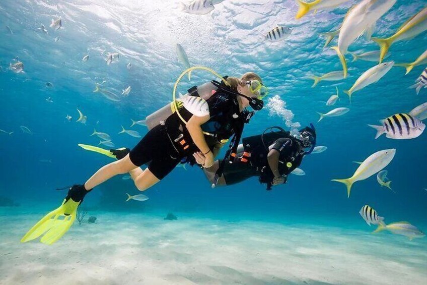 Ras Mohamed & White Island Diving & Snorkeling Trip with Lunch