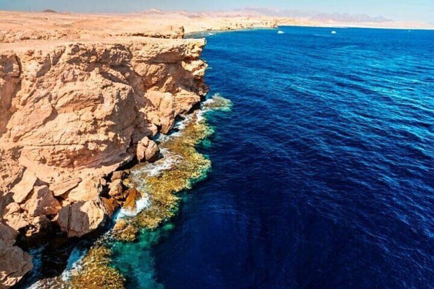Ras Mohammed and White Island Diving &Snorkelling Trip with Lunch