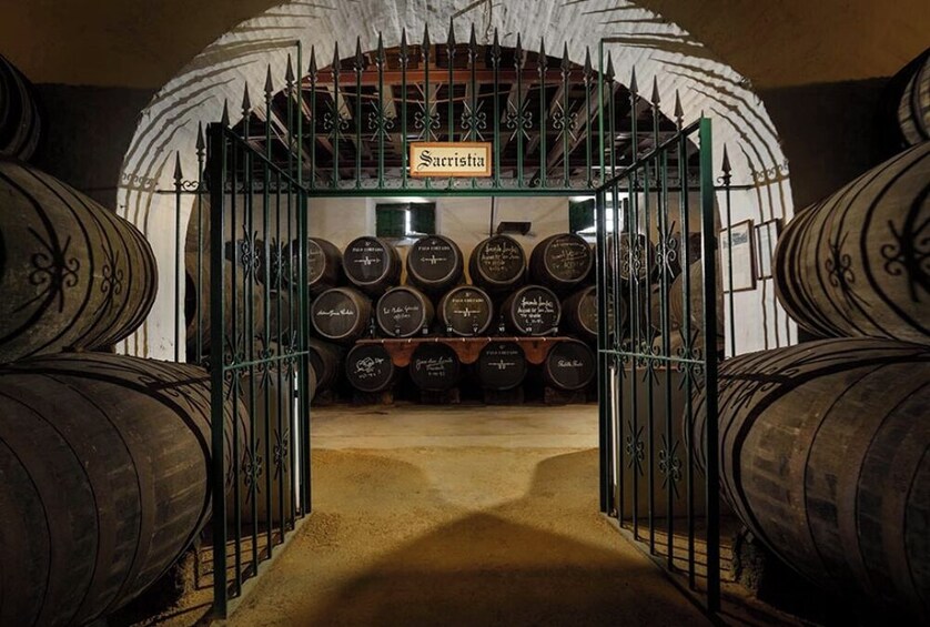 Barbadillo Winery: Guided Tour with Tasting of 3 Wines in Cádiz