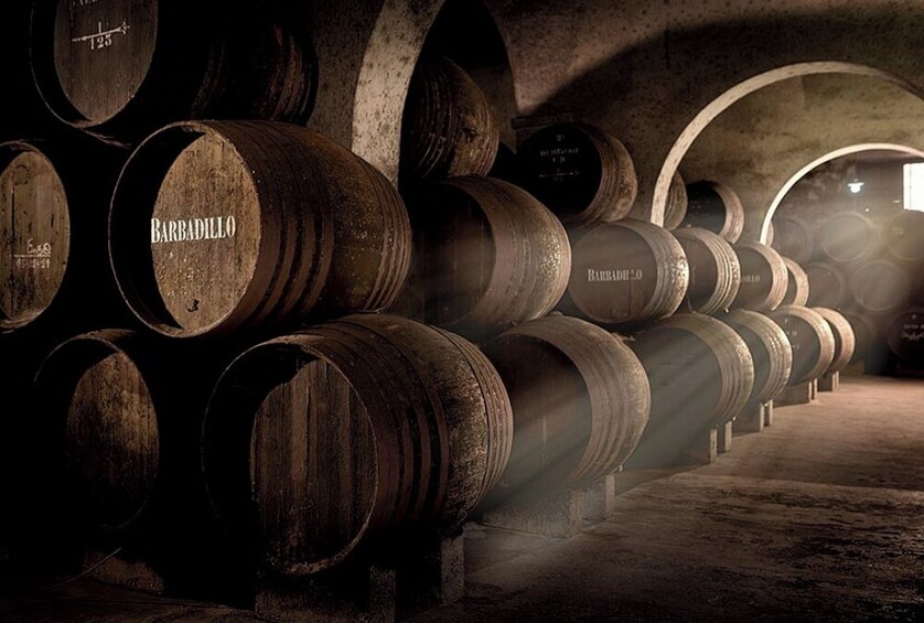 Barbadillo Winery: Guided Tour with Tasting of 3 Wines in Cádiz