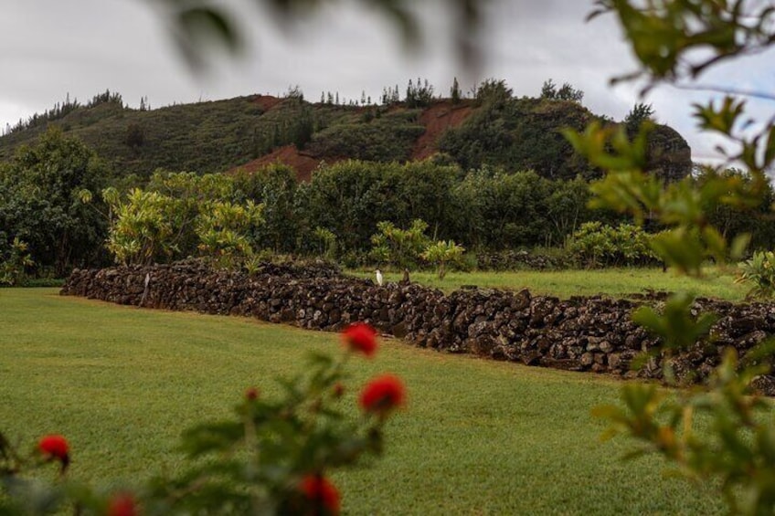 Kauai East Side SHARED Adventute