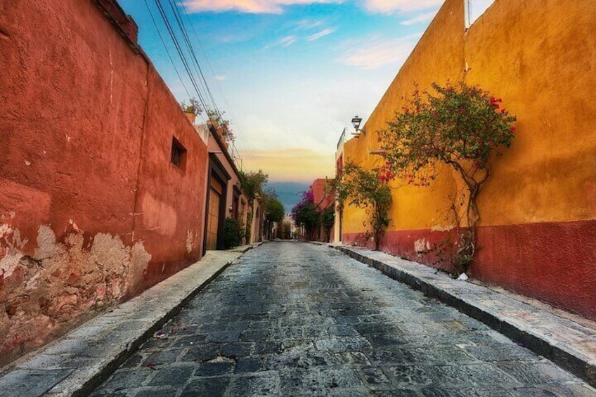 Private Tour San Miguel de Allende 