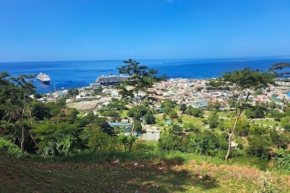 Dominica Roseau City and Rainforest Tour