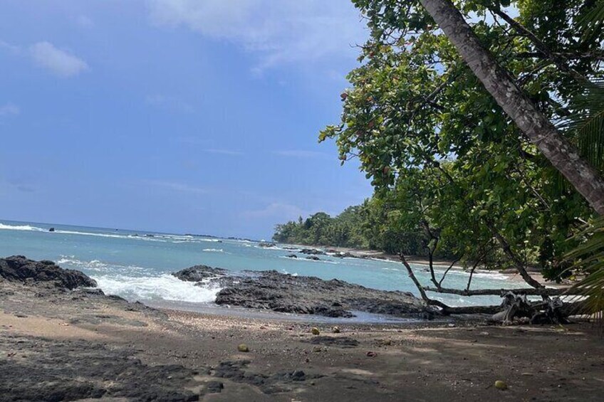 Hike in Corcovado National Park 