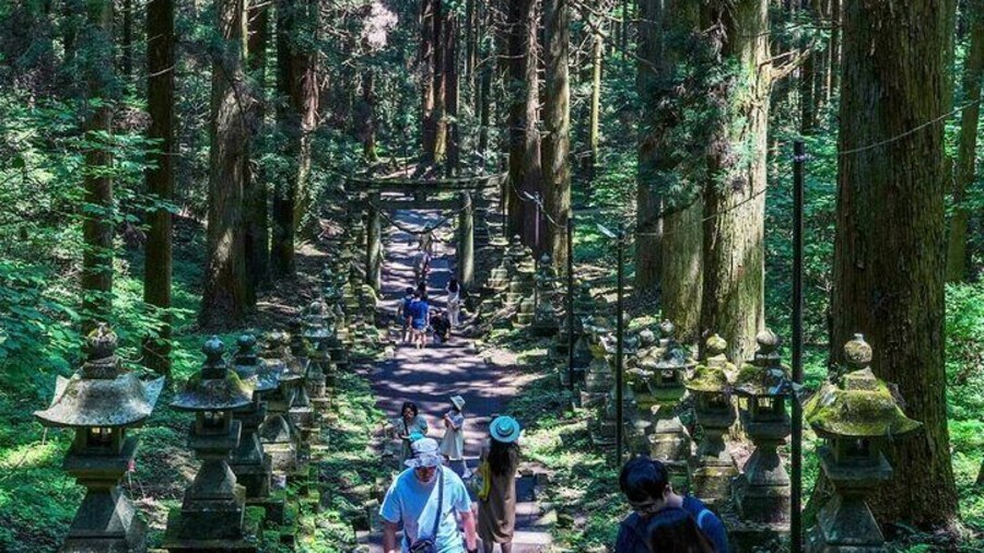 Takachiho Gorge & Shirakawa Suigen Day Tour from Fukuoka