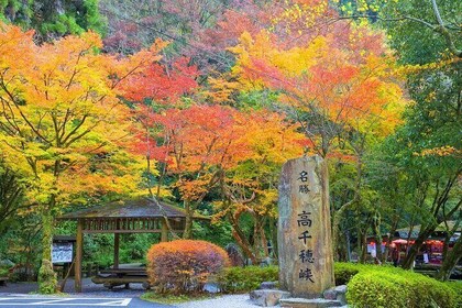 Fukuoka to Takachiho Shrine Tour with Optional Beef Lunch