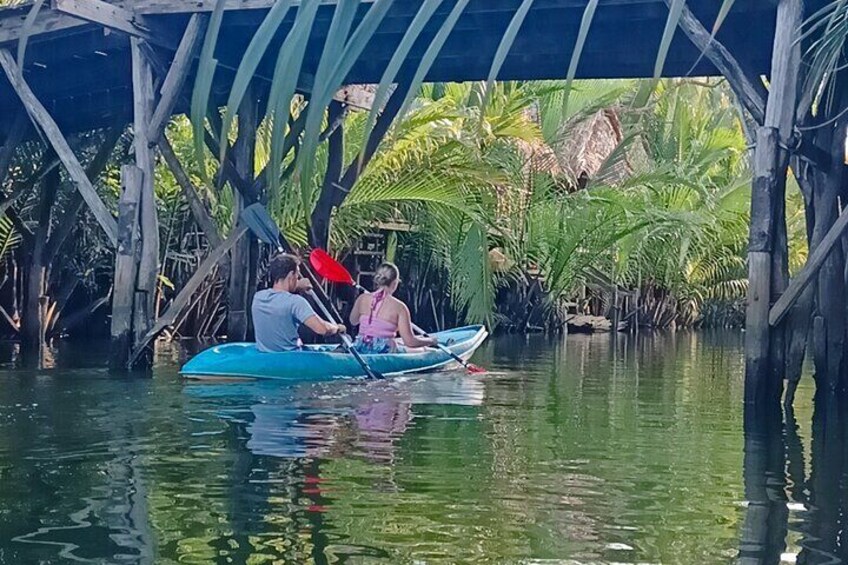 Green Cathedral by Kayak trip 
