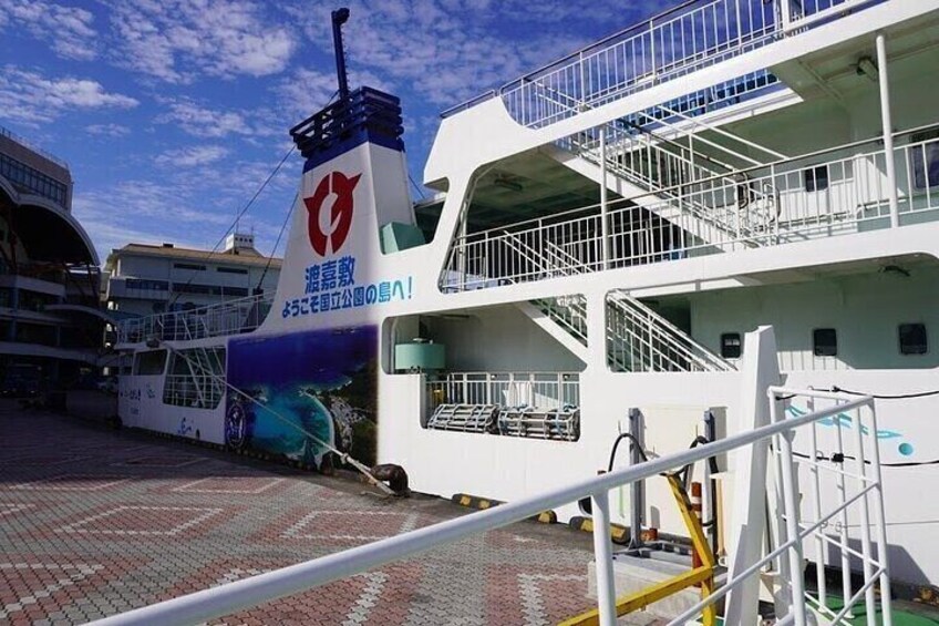 Snorkeling in Tokashiki from Tomari Port by Speedboat