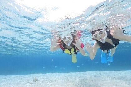 Snorkeling in Tokashiki from Tomari Port by High Speedboat