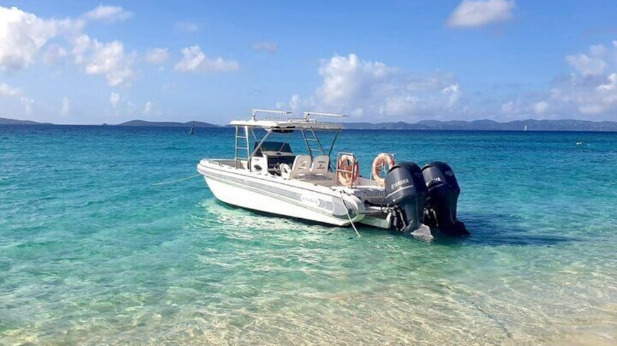 NautiGal