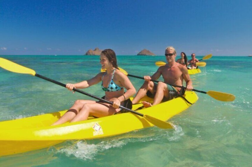 Guided Kayak Tour from Elysian