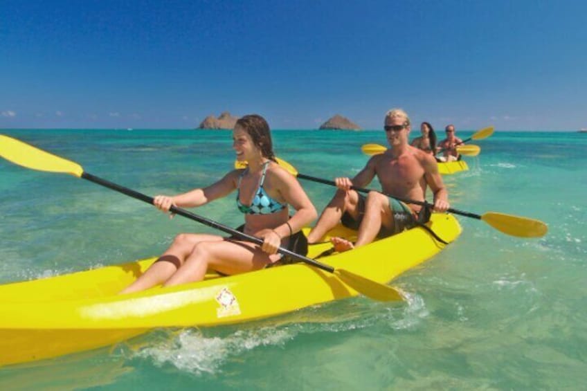 Guided Kayak Tour from Elysian
